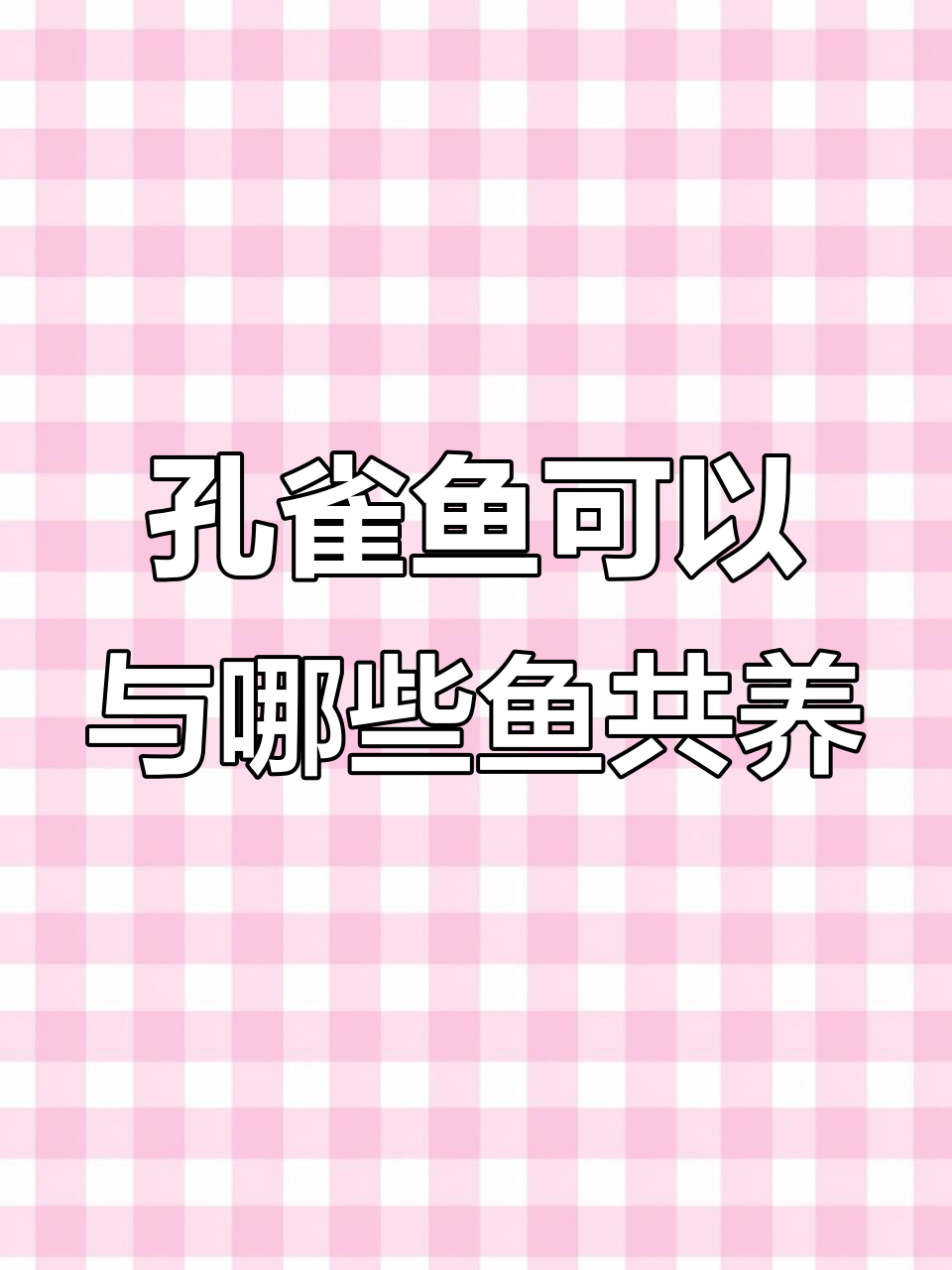 孔雀鱼能和其他小型鱼类混养吗?