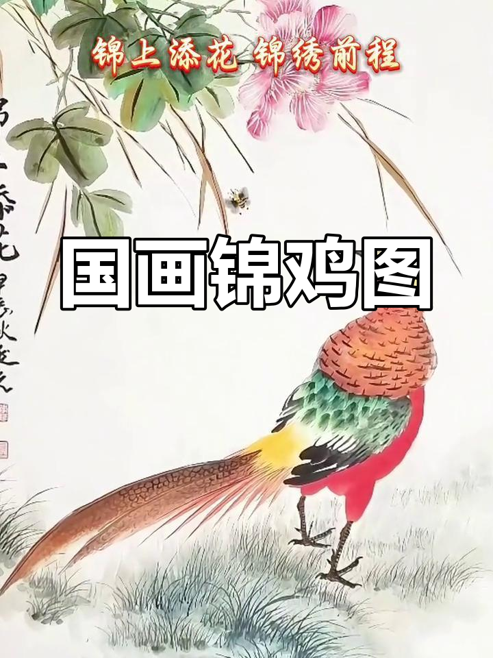 锦鸡花鸟画,国粹艺术与美好寓意