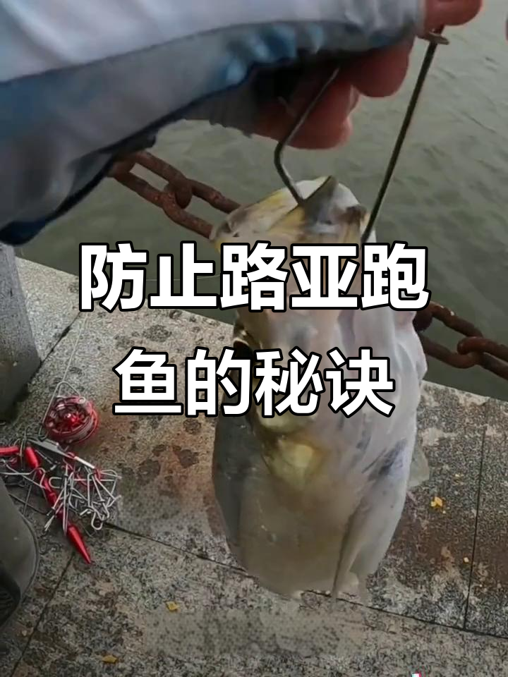 路亚钓鱼必备技巧:如何正确使用鱼扣避免跑鱼