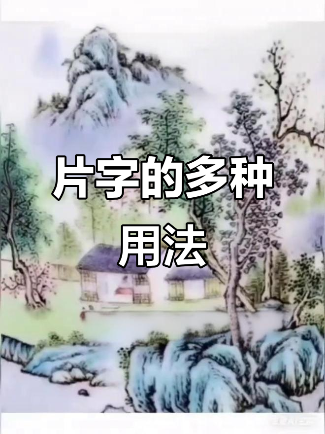 “片”字的多重含义:从照片到影片,一语双关