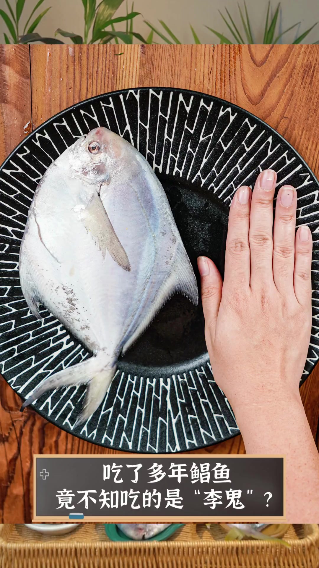 吃了多年鲳鱼,竟不知吃的是“李鬼”?