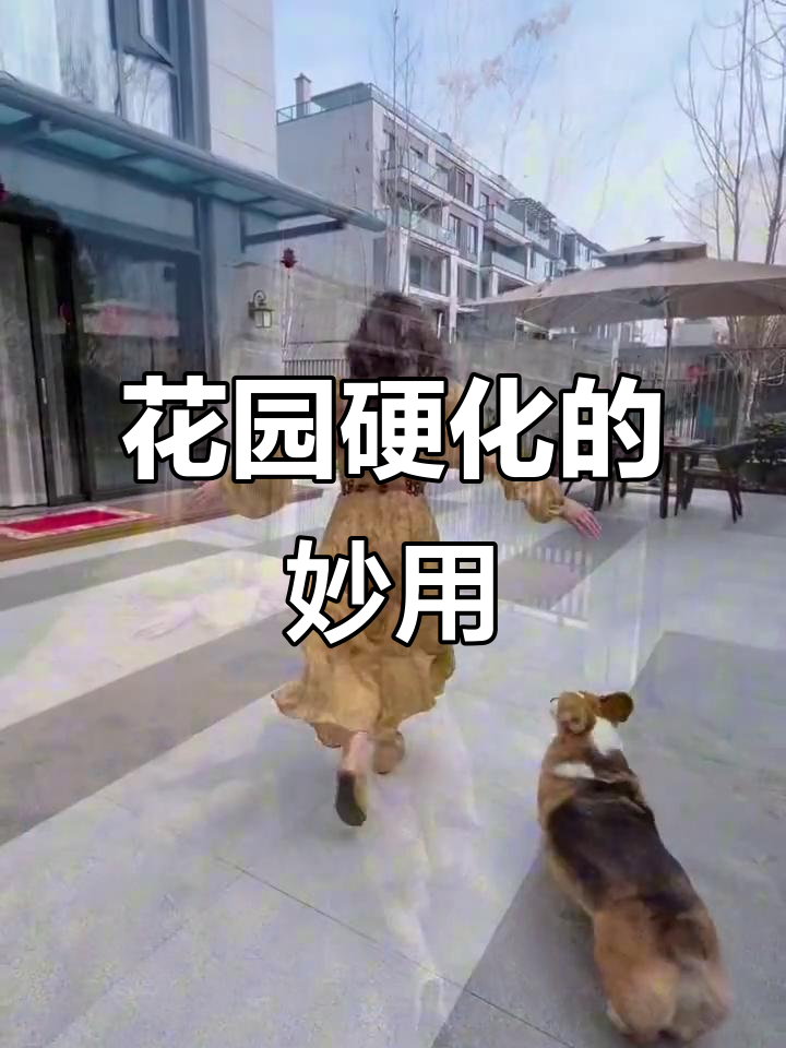 花园硬化后,整洁又实用,菜地布局超省心!