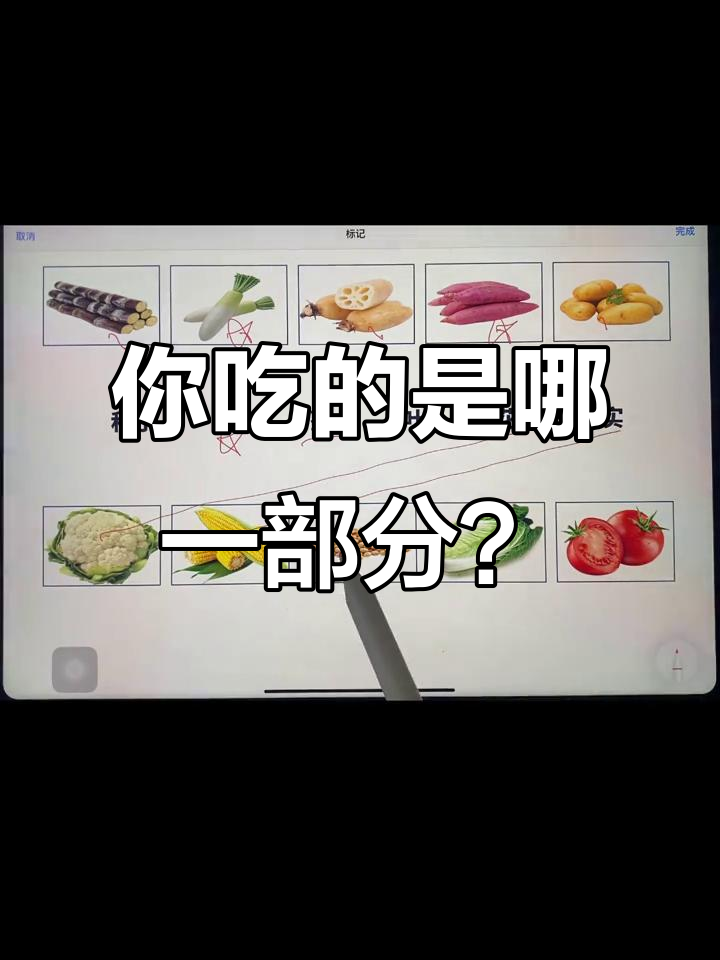 蔬菜水果的食用部分大揭秘:根、茎、叶还是花?