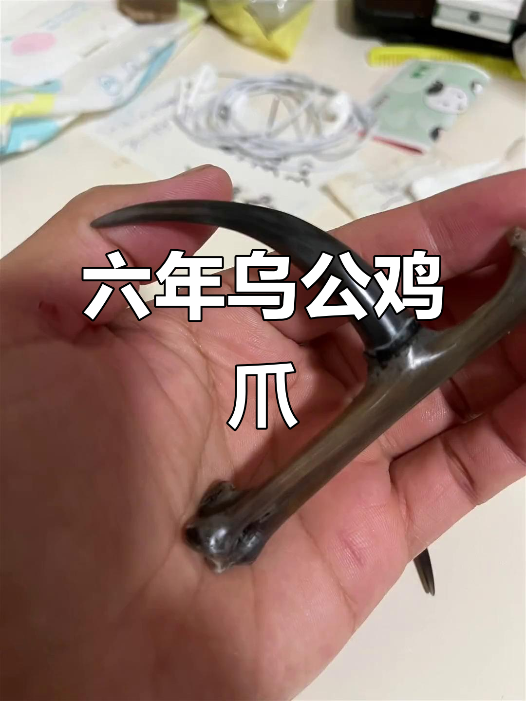 六年乌公鸡爪与大猪牙,手工打造完美搭配