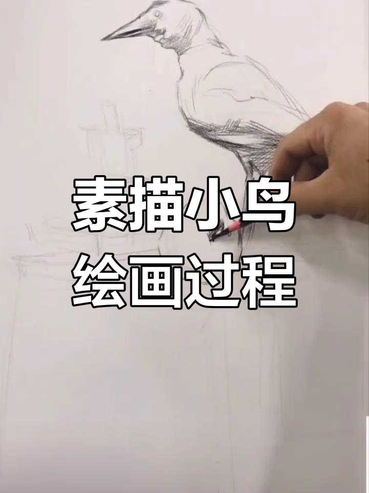 小鸟主题素描静物绘制技巧