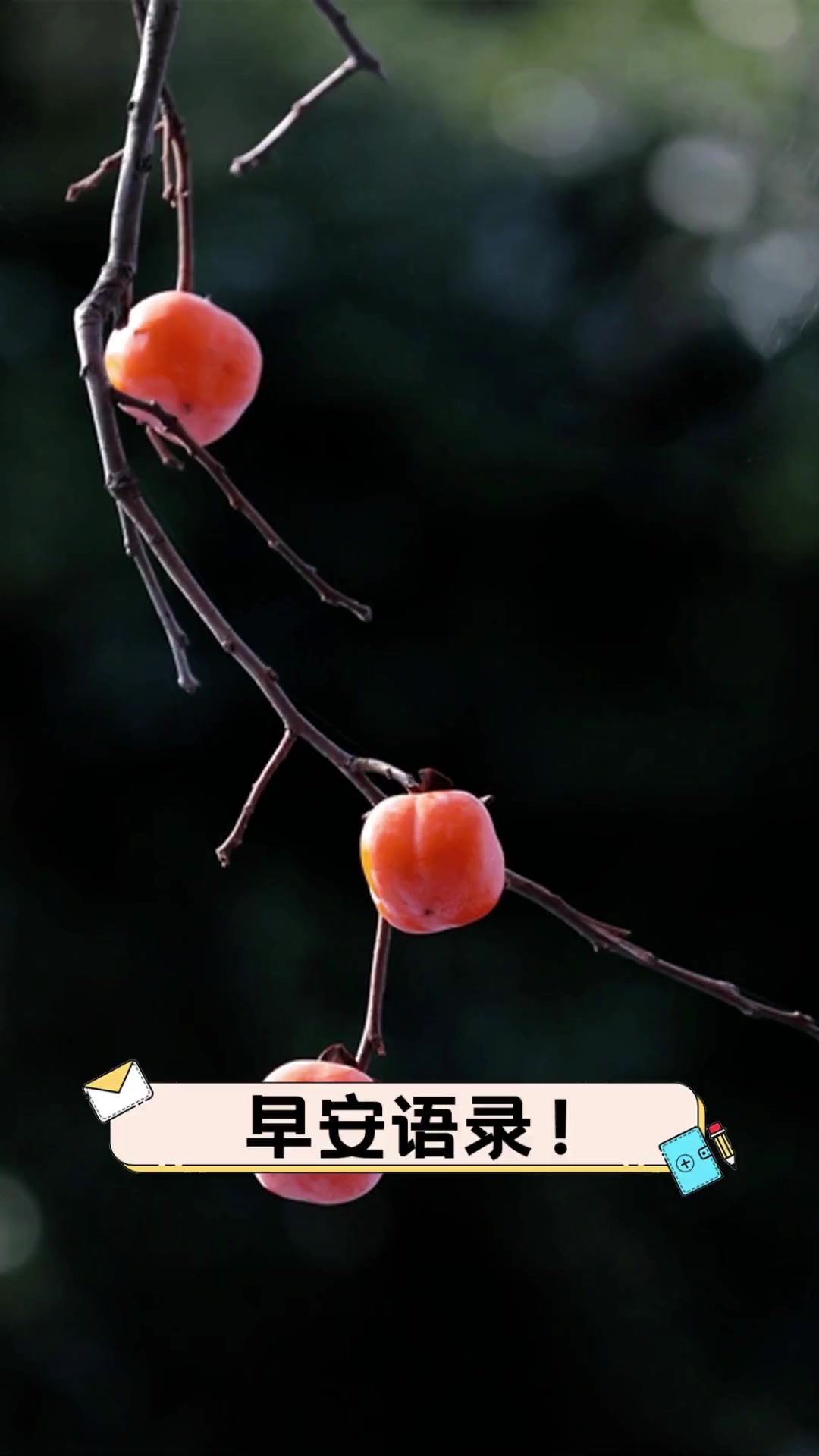 早安语录!
