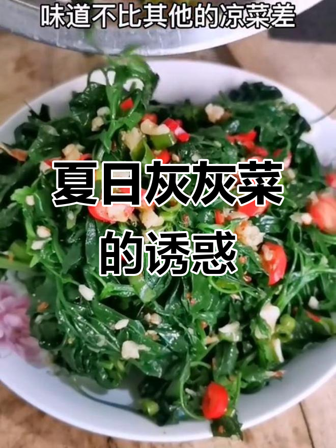 夏季野菜盛行,灰灰菜凉拌美味十足,吃一次就停不下来!