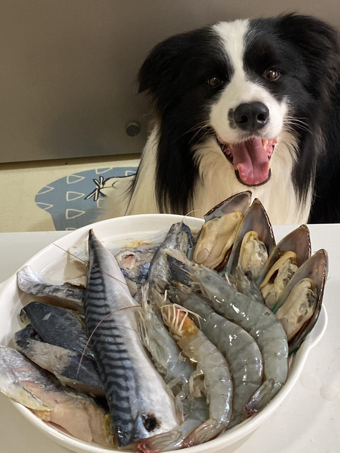 今天是一周一次全鱼餐餐～