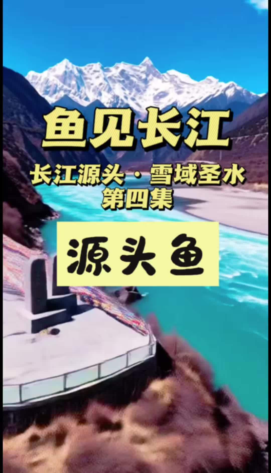 #鱼见长江 ·长江源头·雪域圣水·第四集——三江汇流 · 鱼知高寒。#长江大保护
