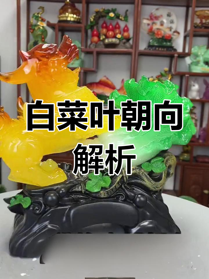 玉白菜摆放风水指南