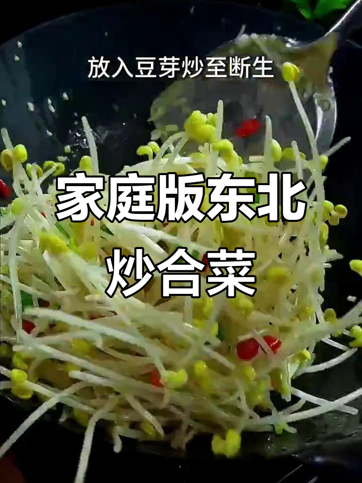 东北炒合菜,春饼卷饼搭配下饭美味