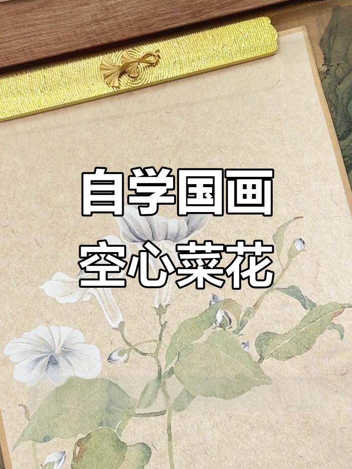 自学国画：水红太白平图，打造空心菜花效果