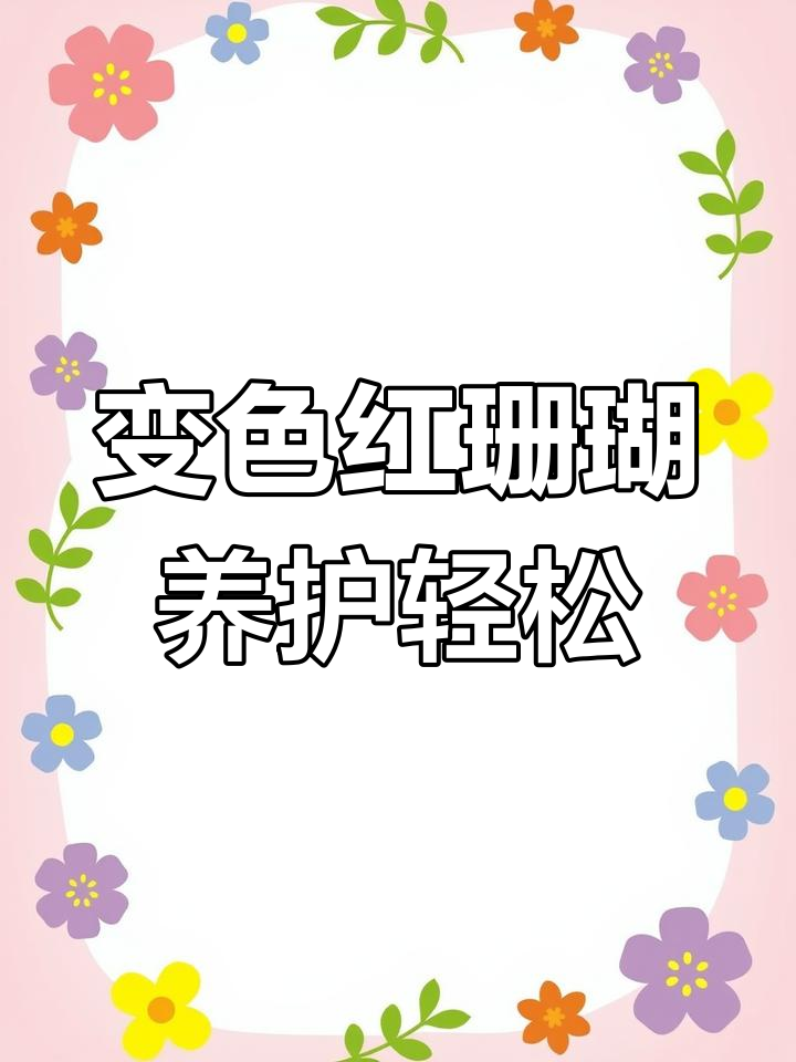 红珊瑚多肉植物,水培土养皆宜,变色神奇寓意好