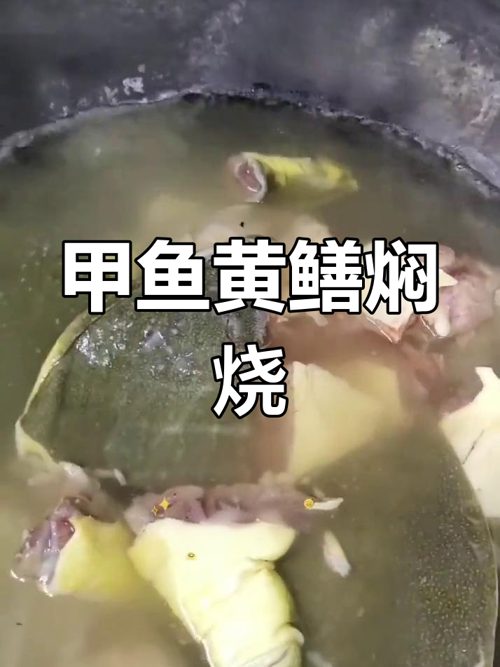 甲鱼黄鳝焖煮美味,香气扑鼻