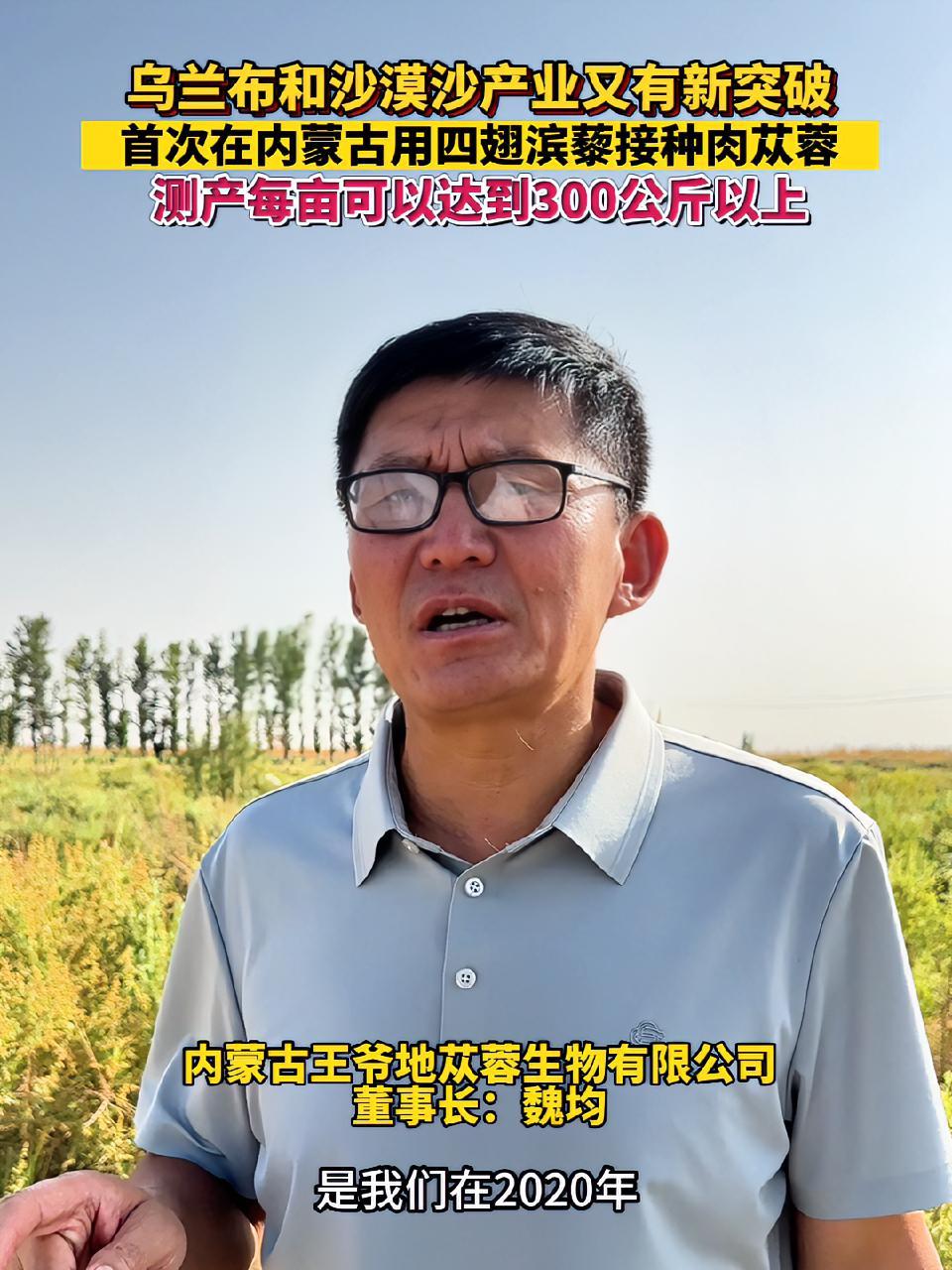 乌兰布和沙漠沙产业又有新突破,首次在内蒙古用四翅滨藜接种肉苁蓉,测产每亩可以达到300公斤