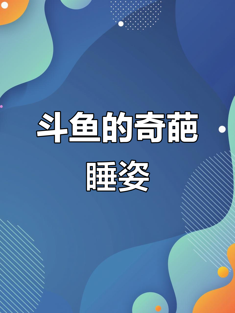 斗鱼睡觉姿势太奇特,竟然这样蹲着睡!