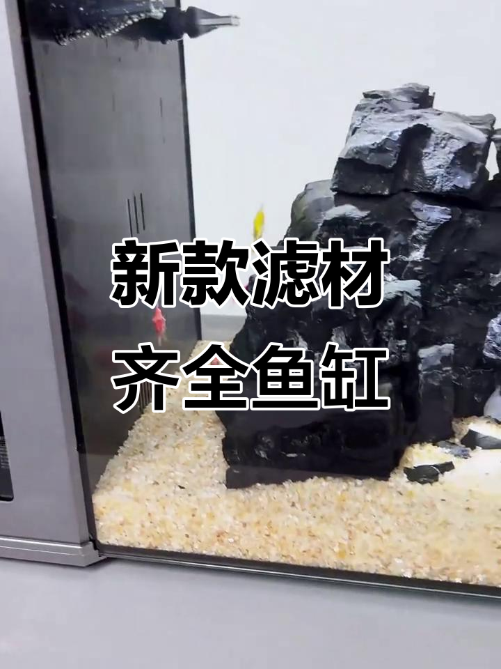 打造自然溪流鱼缸,底砂、石头全搞定!
