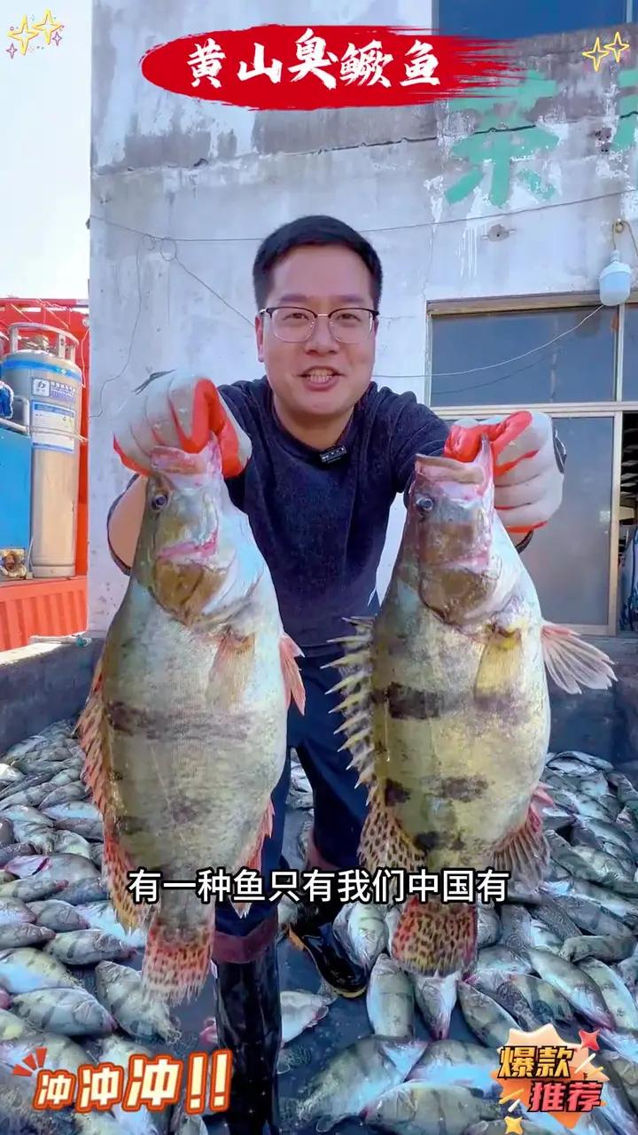 正宗黄山臭鳜鱼,闻着臭吃着香