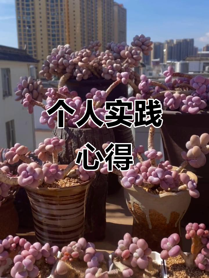 分享个人经验,愿为肉友们提供帮助与启发
