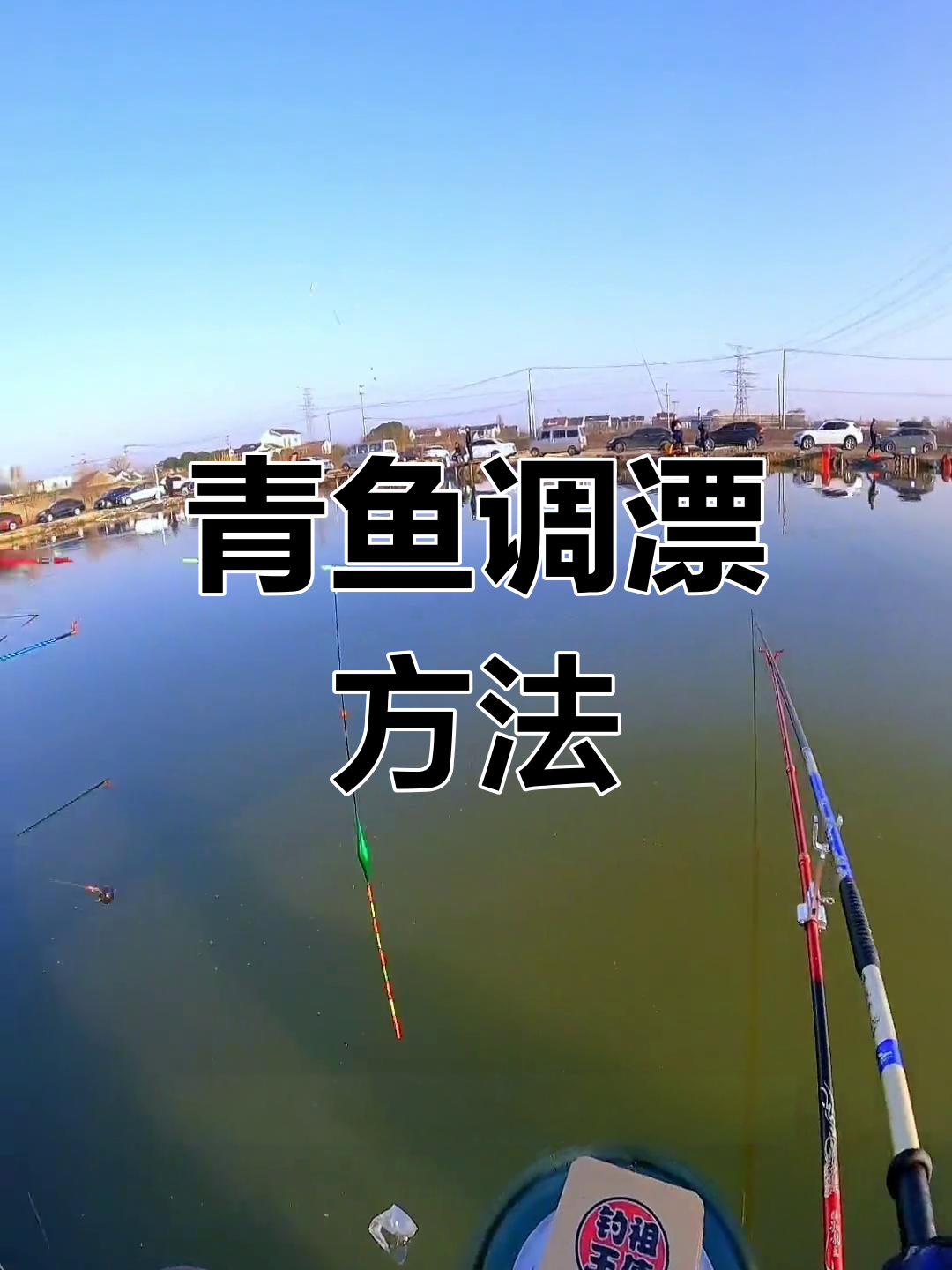 钓青鱼调漂技巧,简单又精准