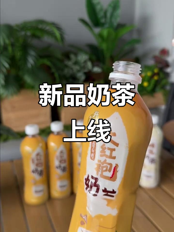 康师傅新口味奶茶，满足各种口感需求！