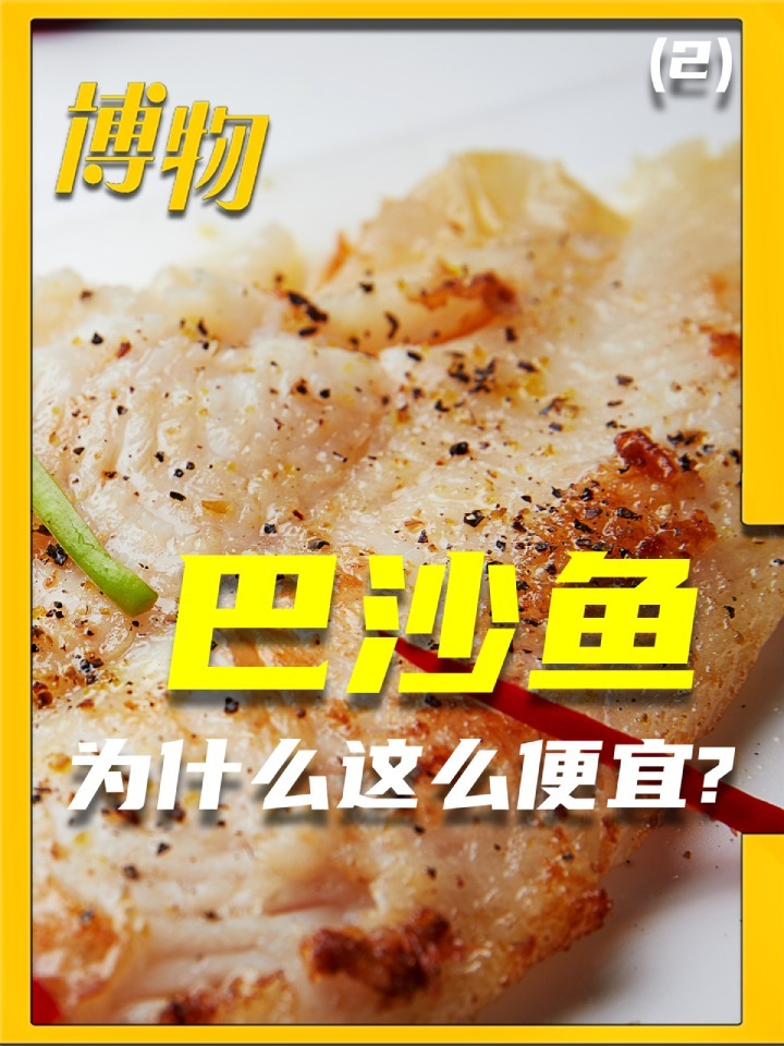 「巴沙鱼」和「龙利鱼」到底有啥区别?