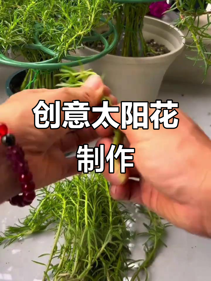 用废旧饮料瓶做太阳花造型,简单又美丽!