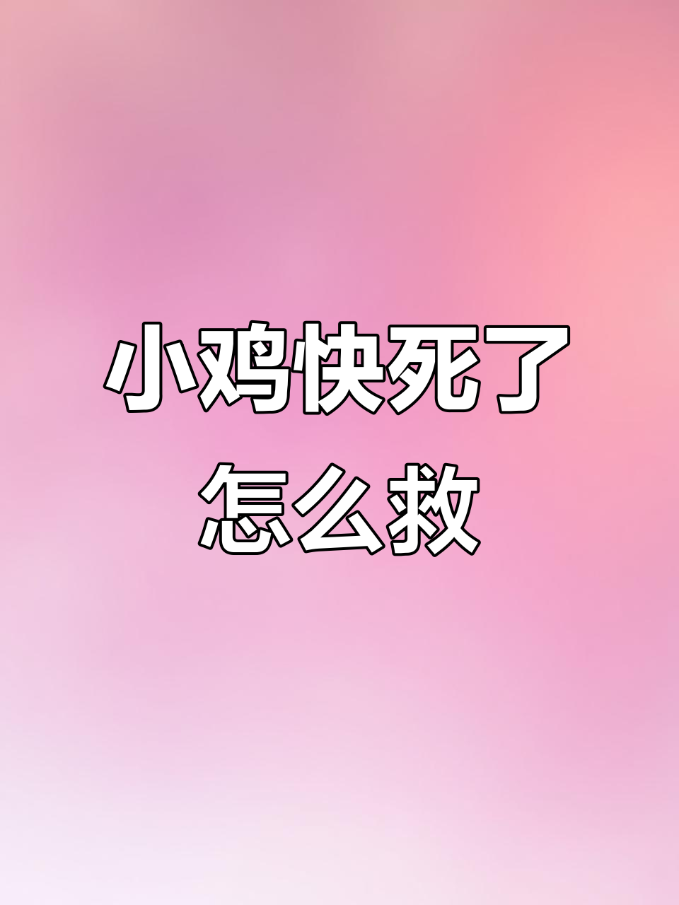 小鸡奄奄一息,怎么办?孩子伤心欲绝!