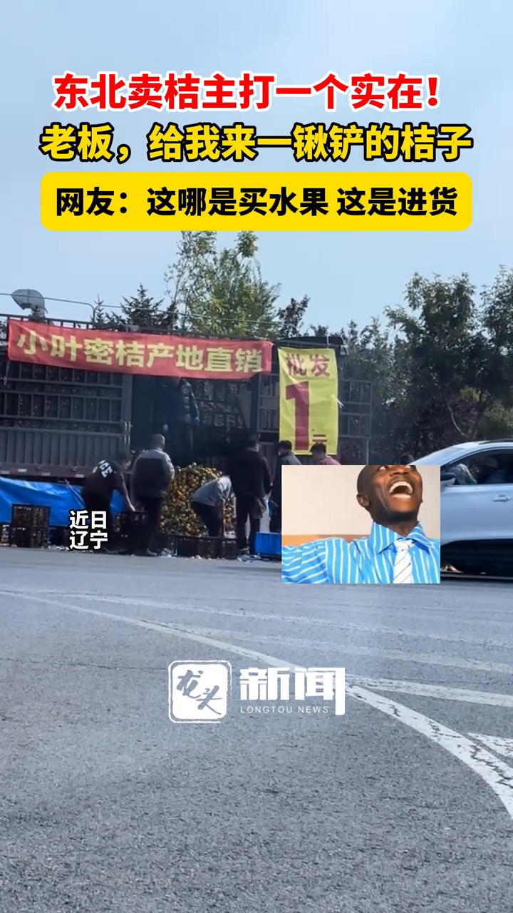 东北卖桔主打一个实在!老板,给我来一锹铲的桔子