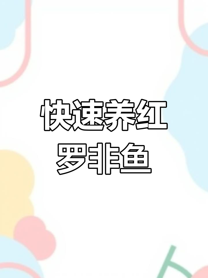 红罗非鱼养殖前景好,价格高