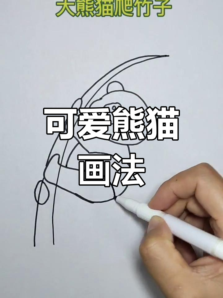 熊猫爬竹子简笔画教程