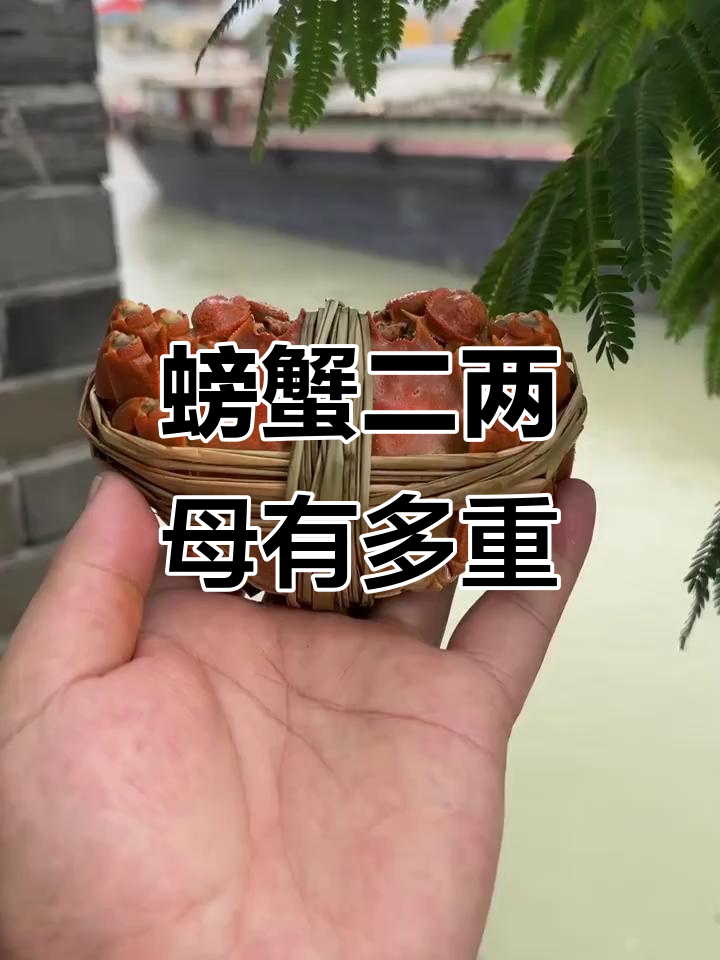 二两母蟹到底有多大?揭秘真相