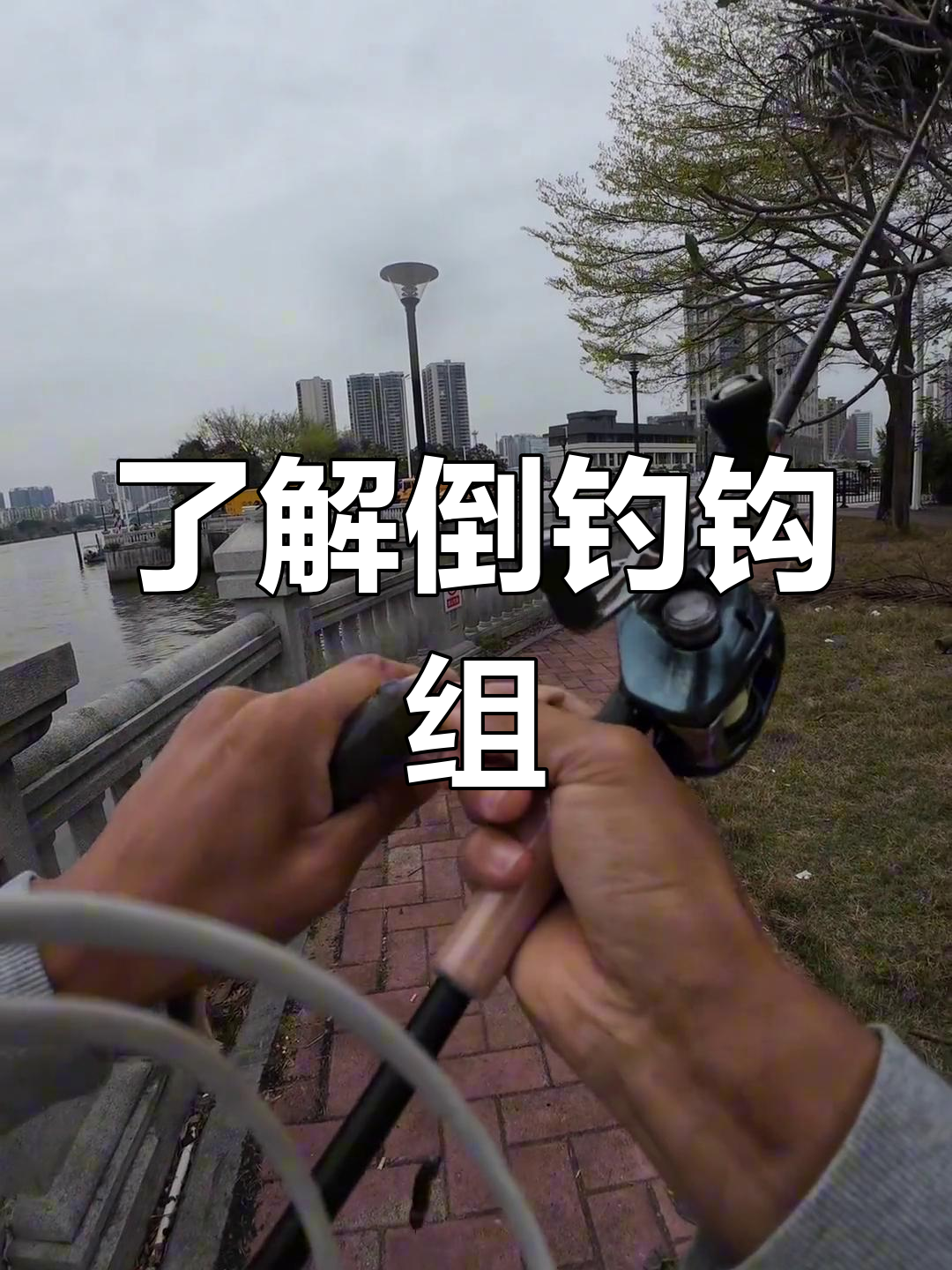 倒钓钩组揭秘:如何捕捉梭鱼?