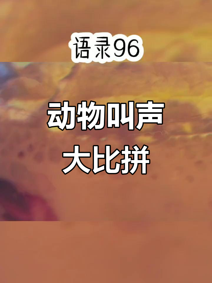 猫狗羊鹅大集合,叫声搞笑连连看
