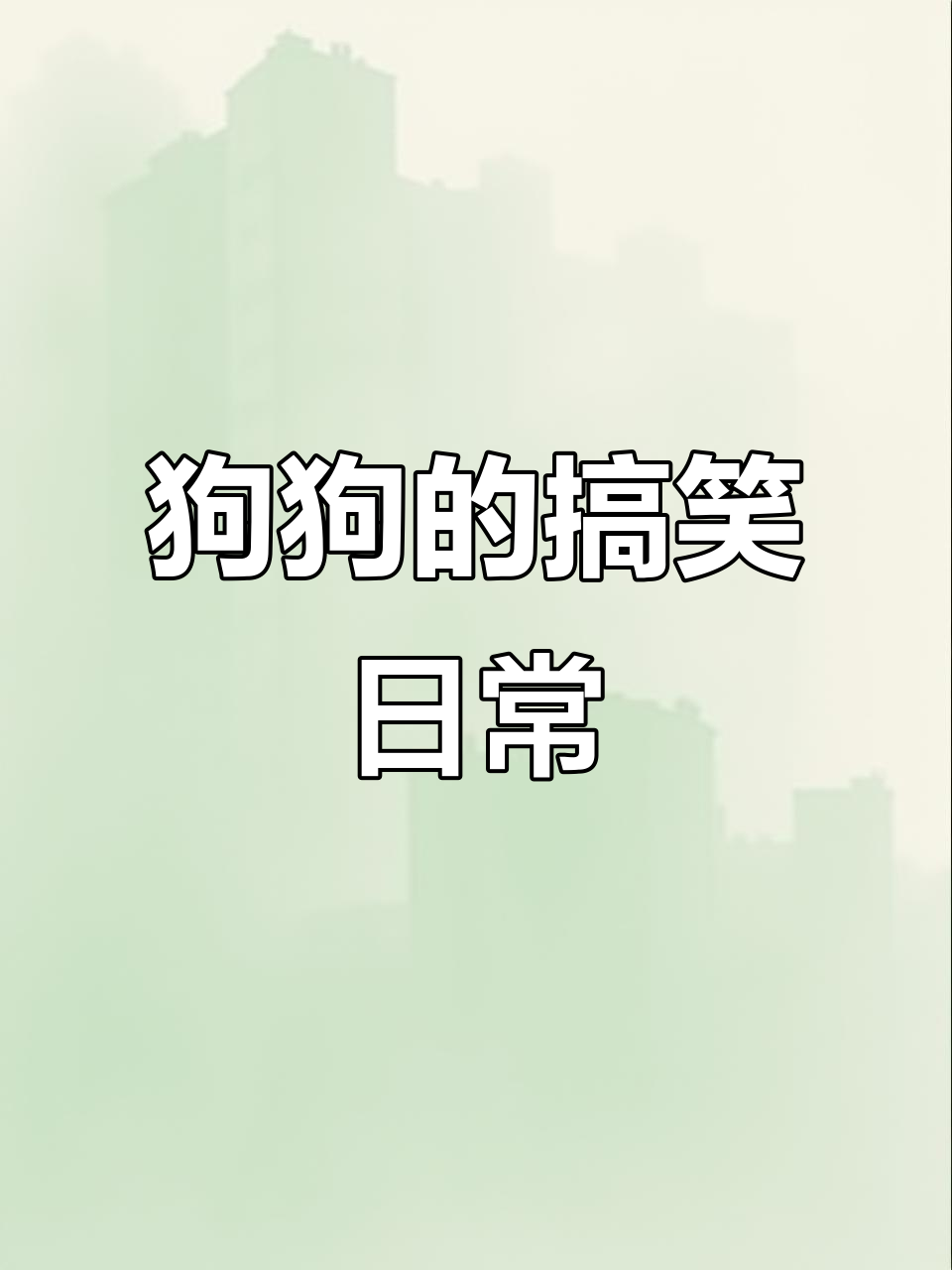 小狗离家出走,表情包大作战