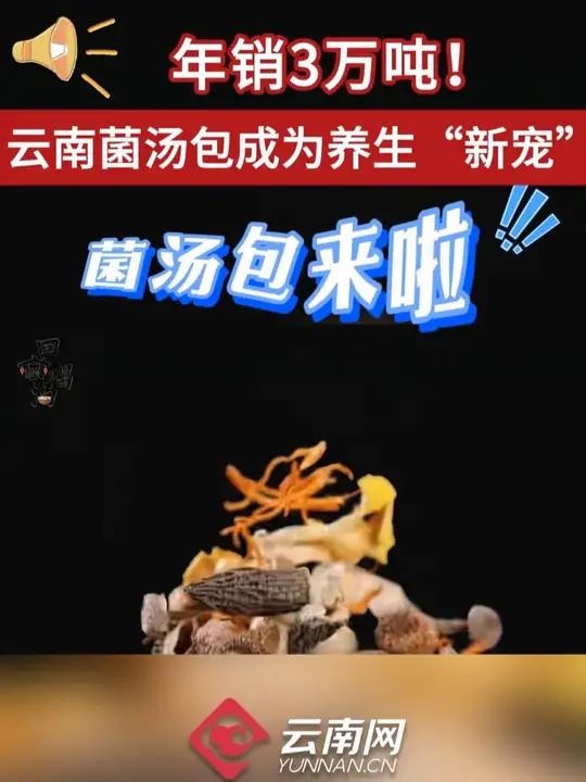 羊肚菌、蛹虫草、姬松茸……作为“药食同源”的养生代表,近年来,云南菌汤包不仅成为都市人的食