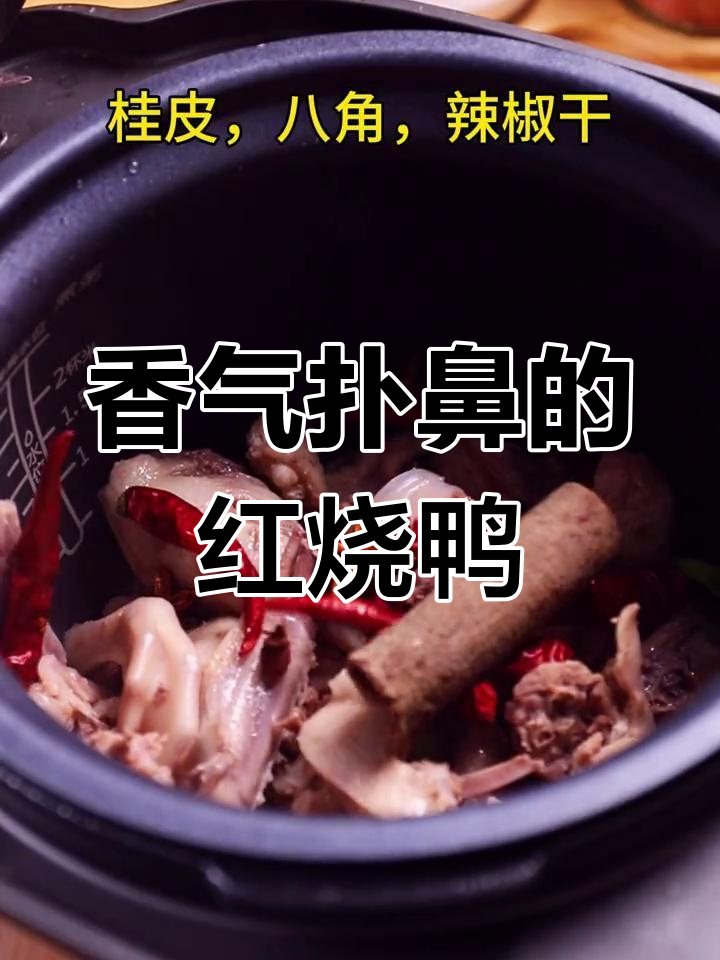 红烧啤酒鸭,香辣入味,米饭都不够吃!