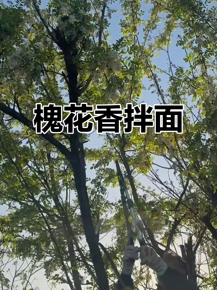 槐花拌面新做法,简单又美味!