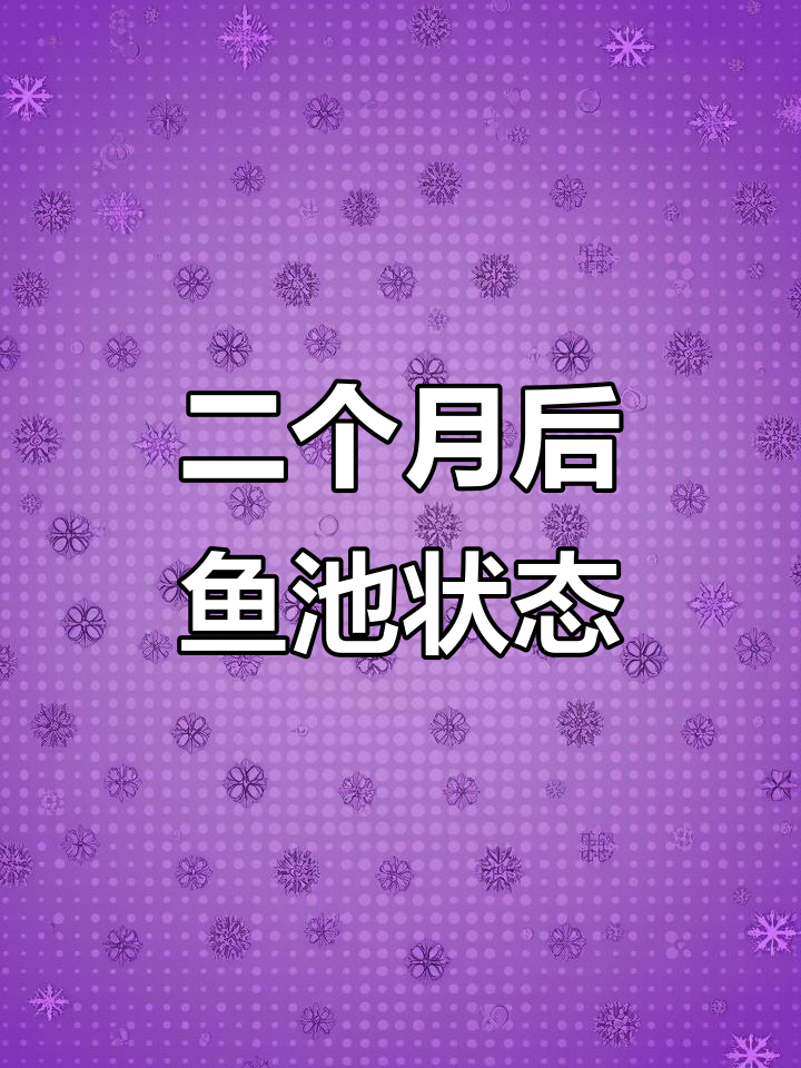 两个月鱼池维护,假山植物逐渐自然化