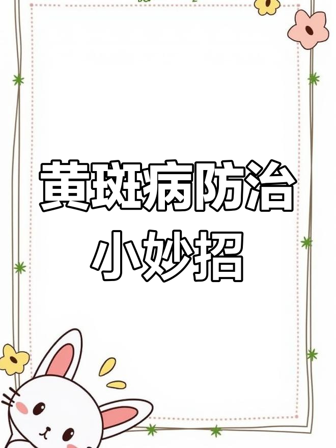 叶片黄斑病轻松治,三天见效!