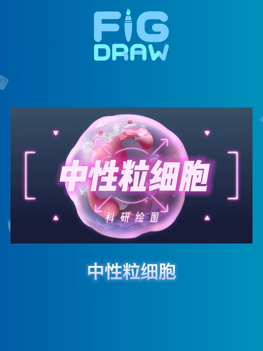 「FigDraw」中性粒细胞 · 手绘
