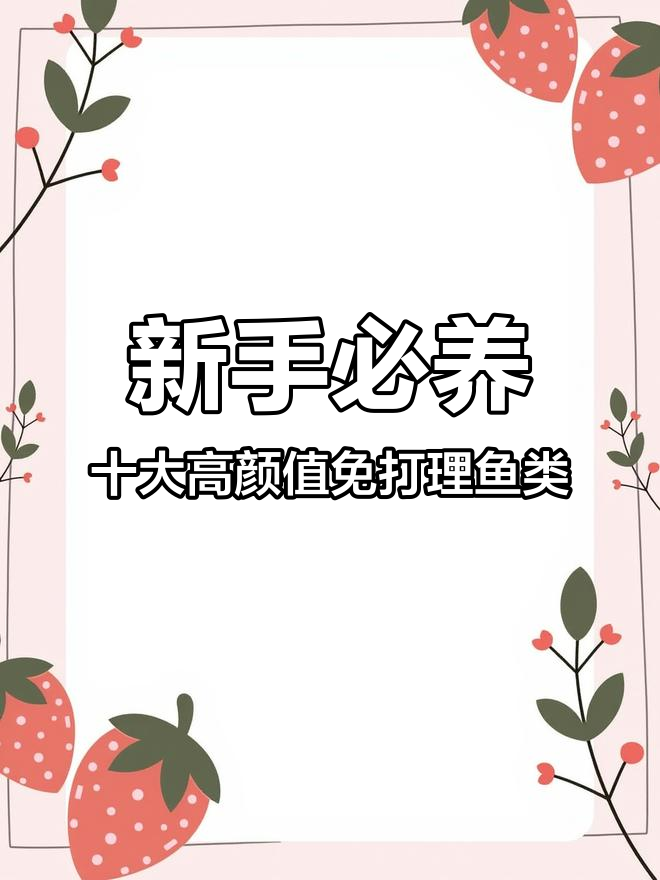 10种最适合新手养的观赏鱼,轻松搞定水质问题