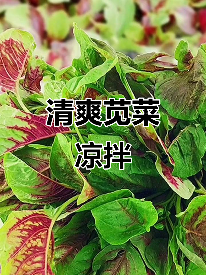苋菜凉拌新做法,夏季必备爽口小菜