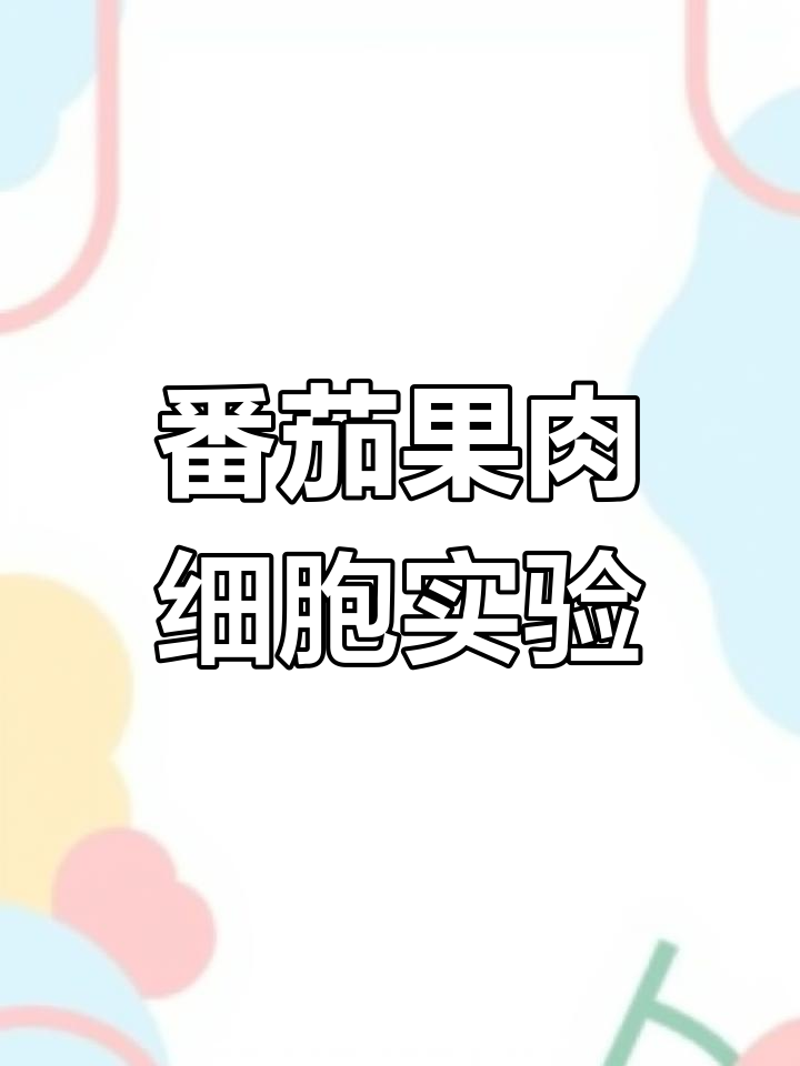 番茄果肉细胞实验技巧大揭秘,轻松制作临食装片