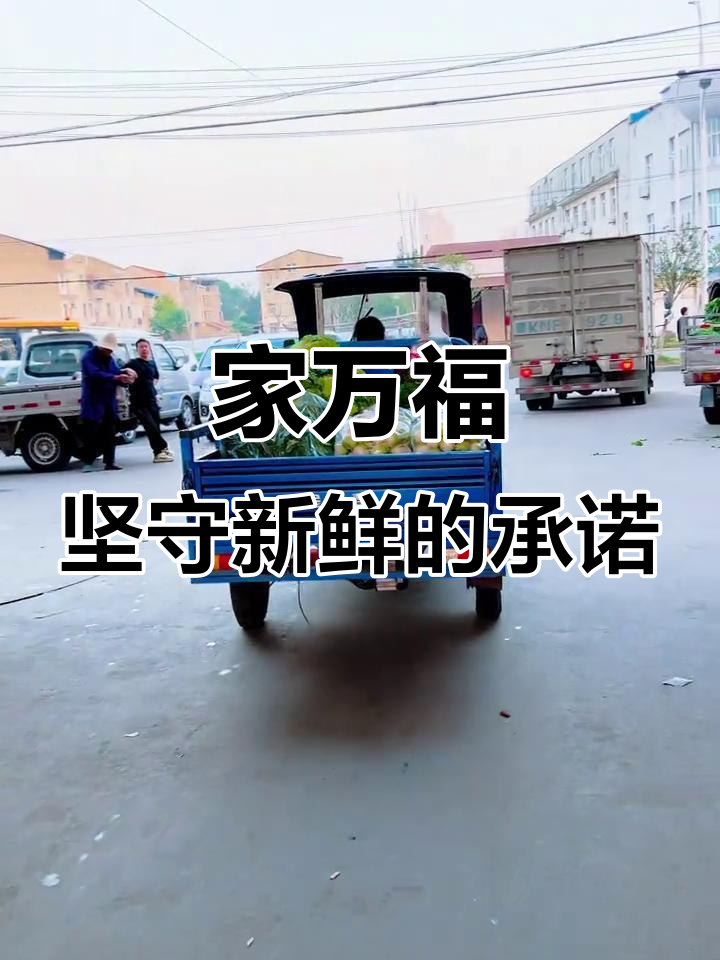 坚持新鲜,家万福超市带您品味时令湘菜与本地蔬菜的完美结合