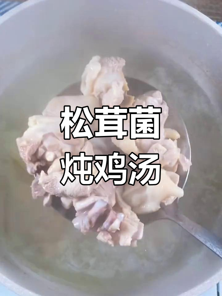 秋季滋补松茸菌鸡汤,鲜美又暖心
