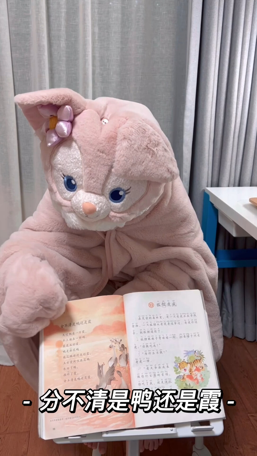 二年级上学期《分不清是鸭还是霞》