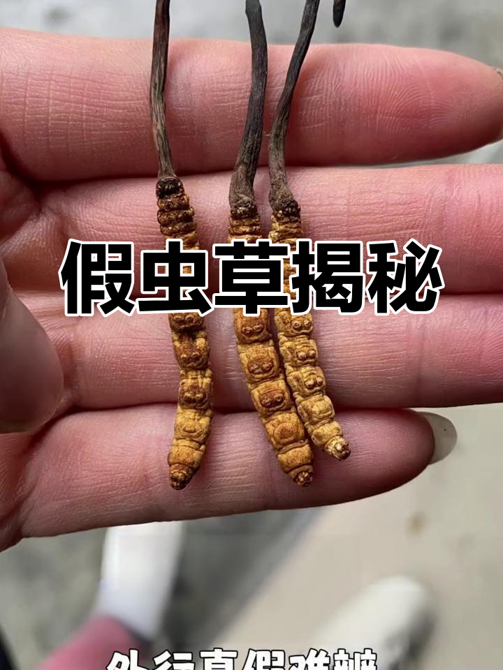 警惕!直播买的虫草可能是人工的,盒马也混卖真假