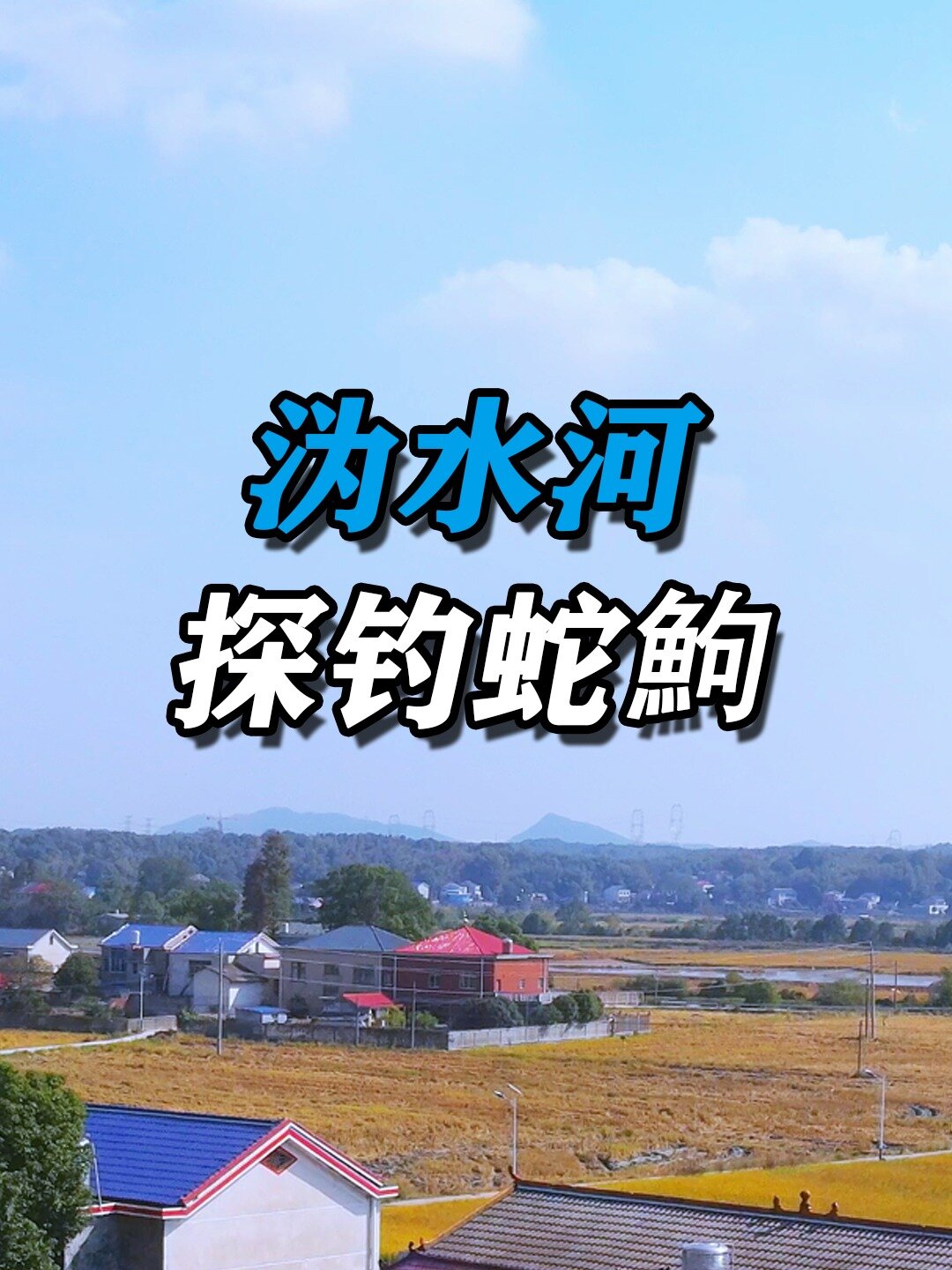 清一色的蛇鮈鱼(船丁子),羡煞老头们
