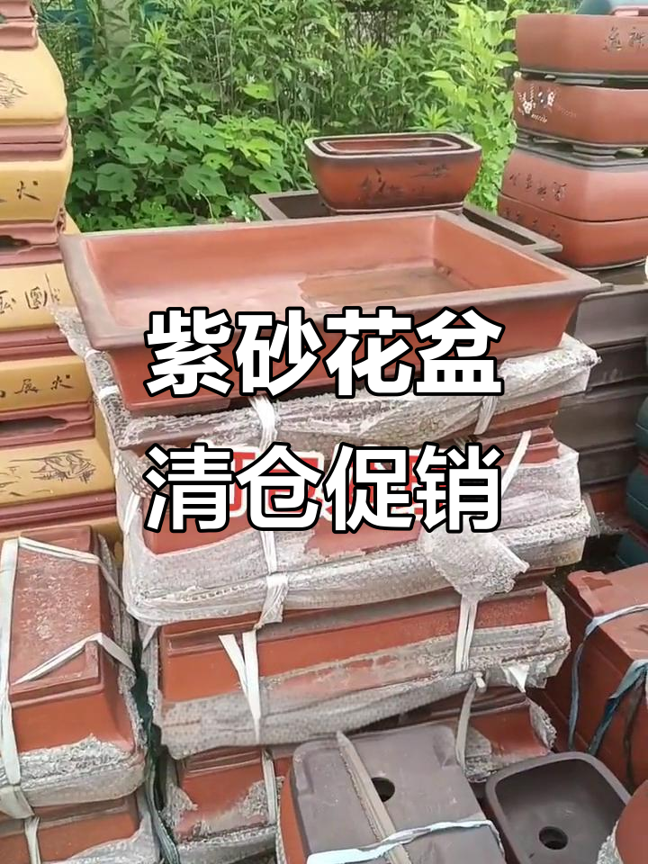 宜兴紫砂花盆特价清仓,老桩盆景优惠来袭